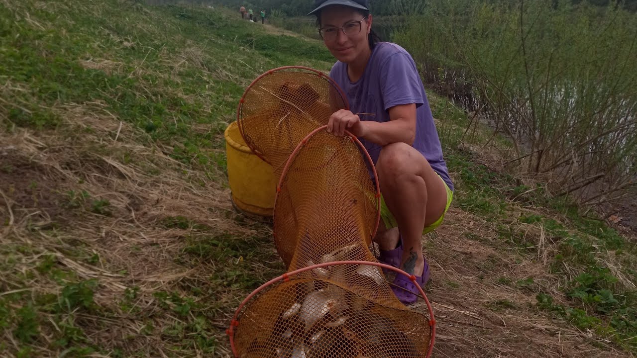 Весенняя Рыбалка на  р.Луга . Ловим Сырть . Вимба.