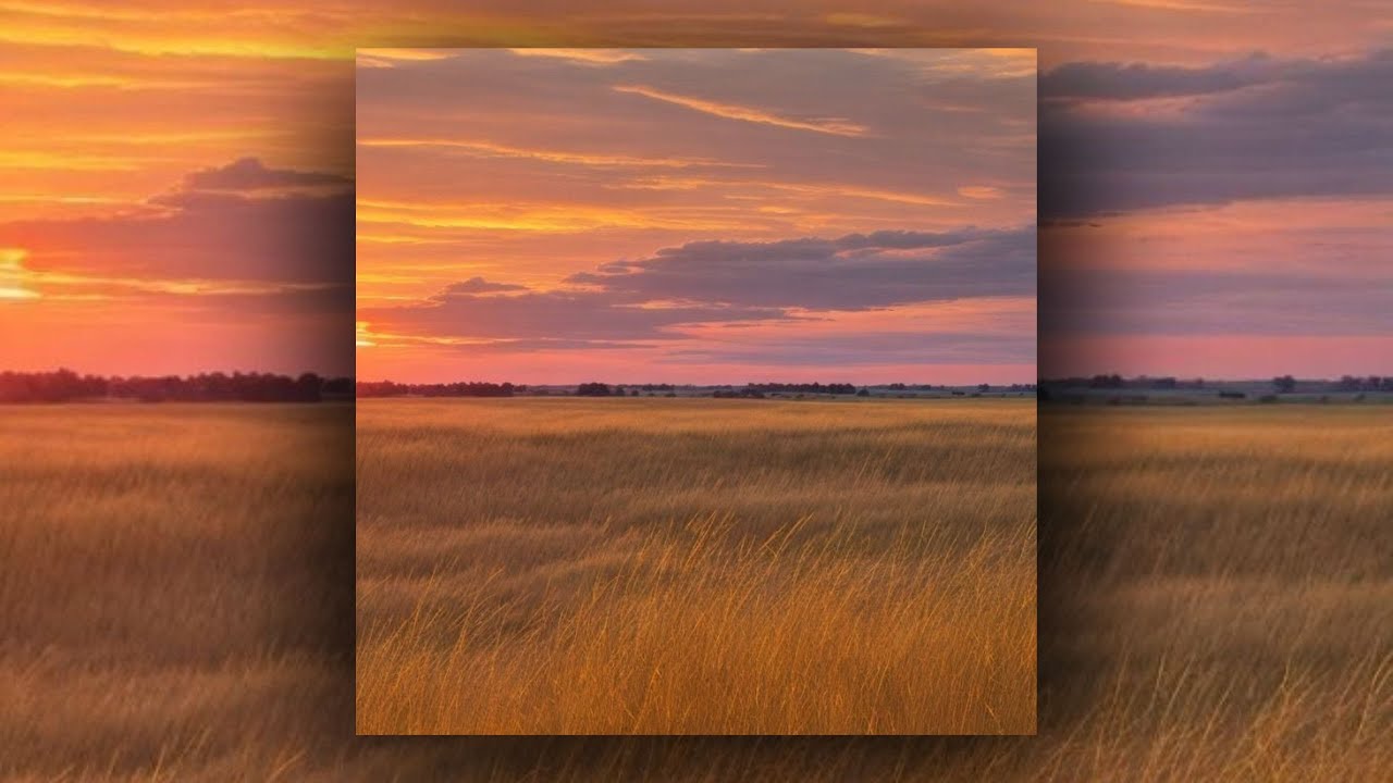 [FREE FOR PROFIT] The Kid LAROI Type Beat - ''2009 Wifi''