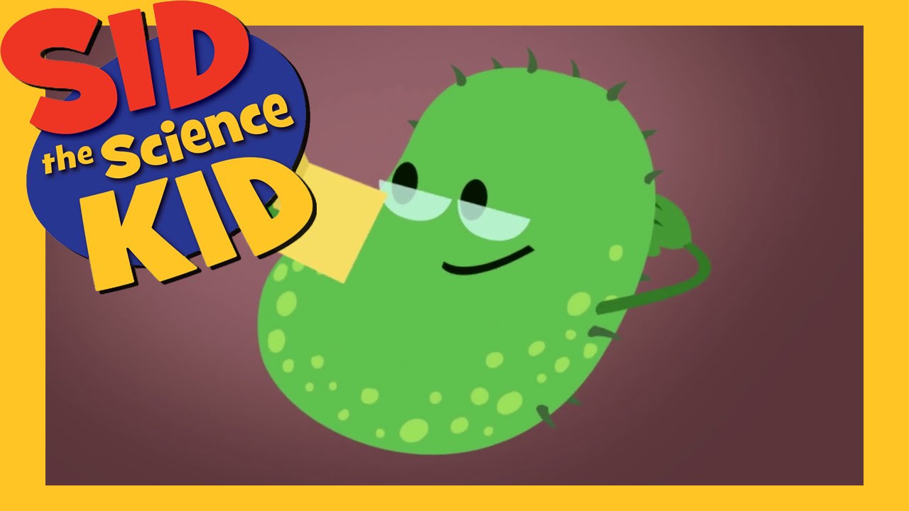 Susie's Song - The Journey of a Germ - Sid The Science Kid - The Jim Henson Company