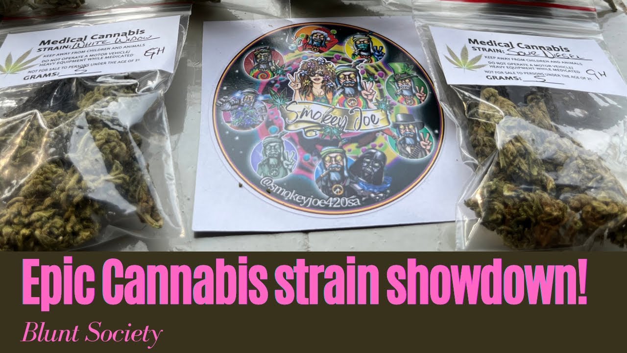 Strain Review: Blueberry, Super Cheese, Pineapple Express, Lemon Cheese, White Widow, Sour Diesel