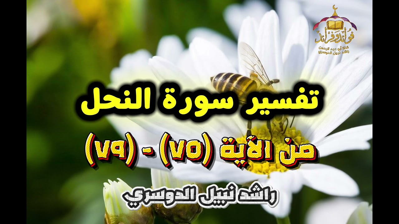 ١٤. تفسير سورة النحل (٧٥) - (٧٩) راشد نبيل الدوسري