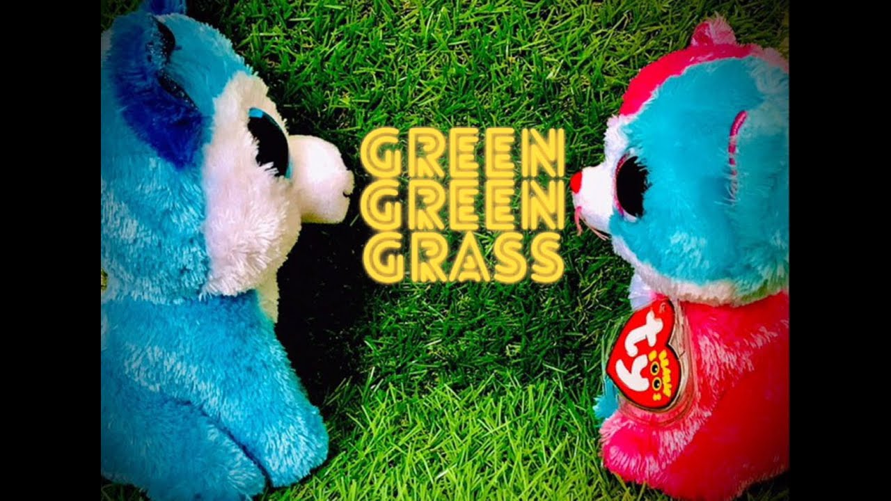 “Green Green Grass” Beanie Boo Music Video