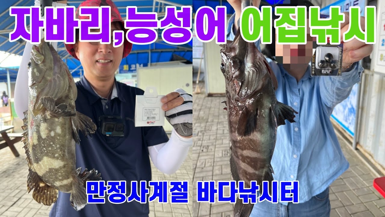 [유터낚시] 영종도 만정사계절 바다낚시터 자바리, 능성어 잡는 어집과 포인트는?, 뺀찌 포인트? (Feat 자바리회 능성어회, 6월 6일 출조 )