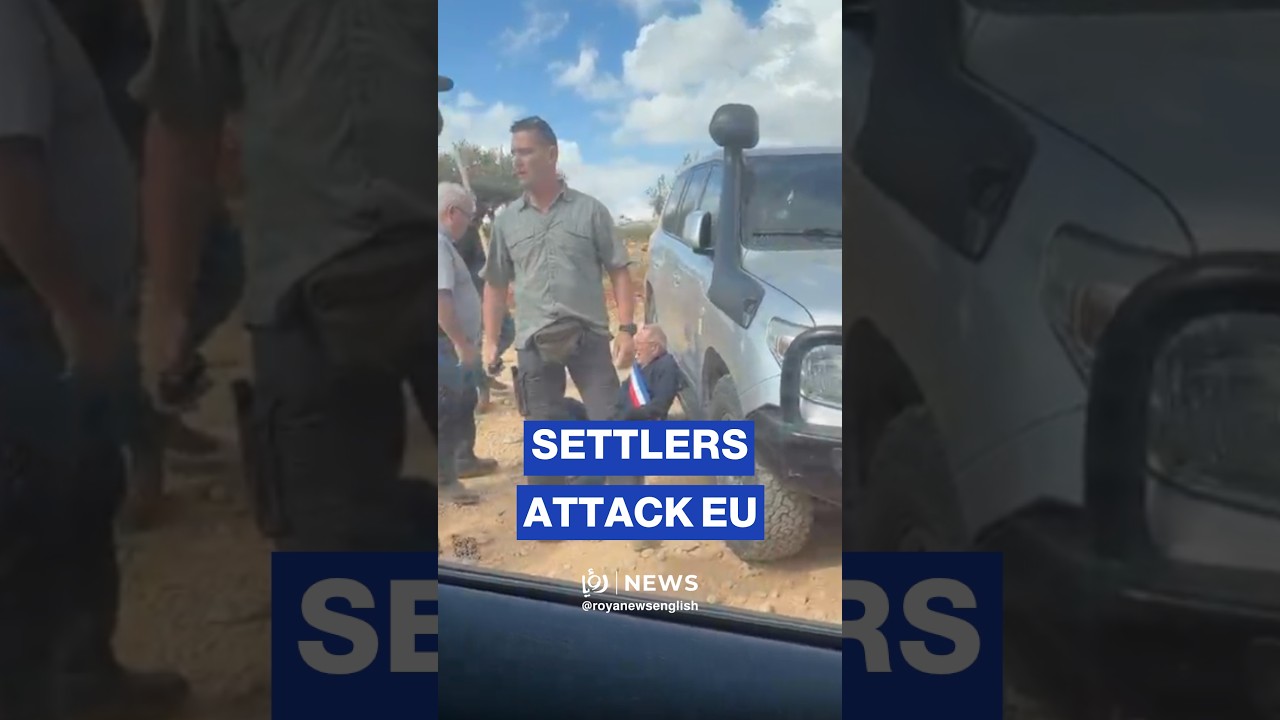 European diplomats attacked by &lsquo;Israeli&rsquo; settlers during olive harvest visit in the West Bank