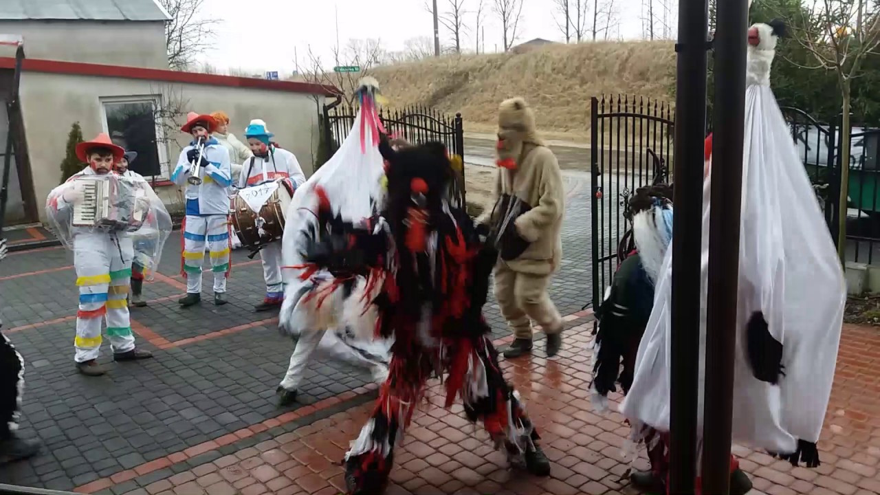 KOZA ŚWIERCZYNEK 2017     cz. 1