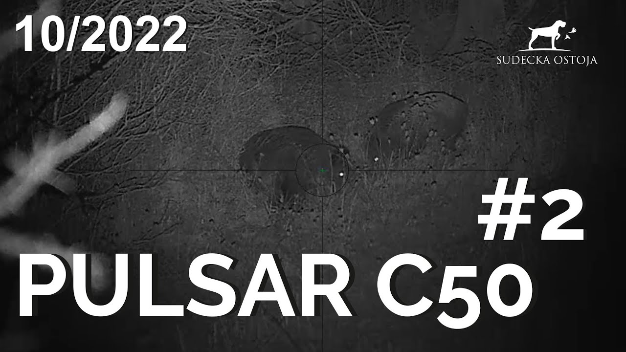 SUDECKA OSTOJA 10/2022 Polowanie na dziki. Pulsar Digex C50. Wild jagen. Wildboars hunt