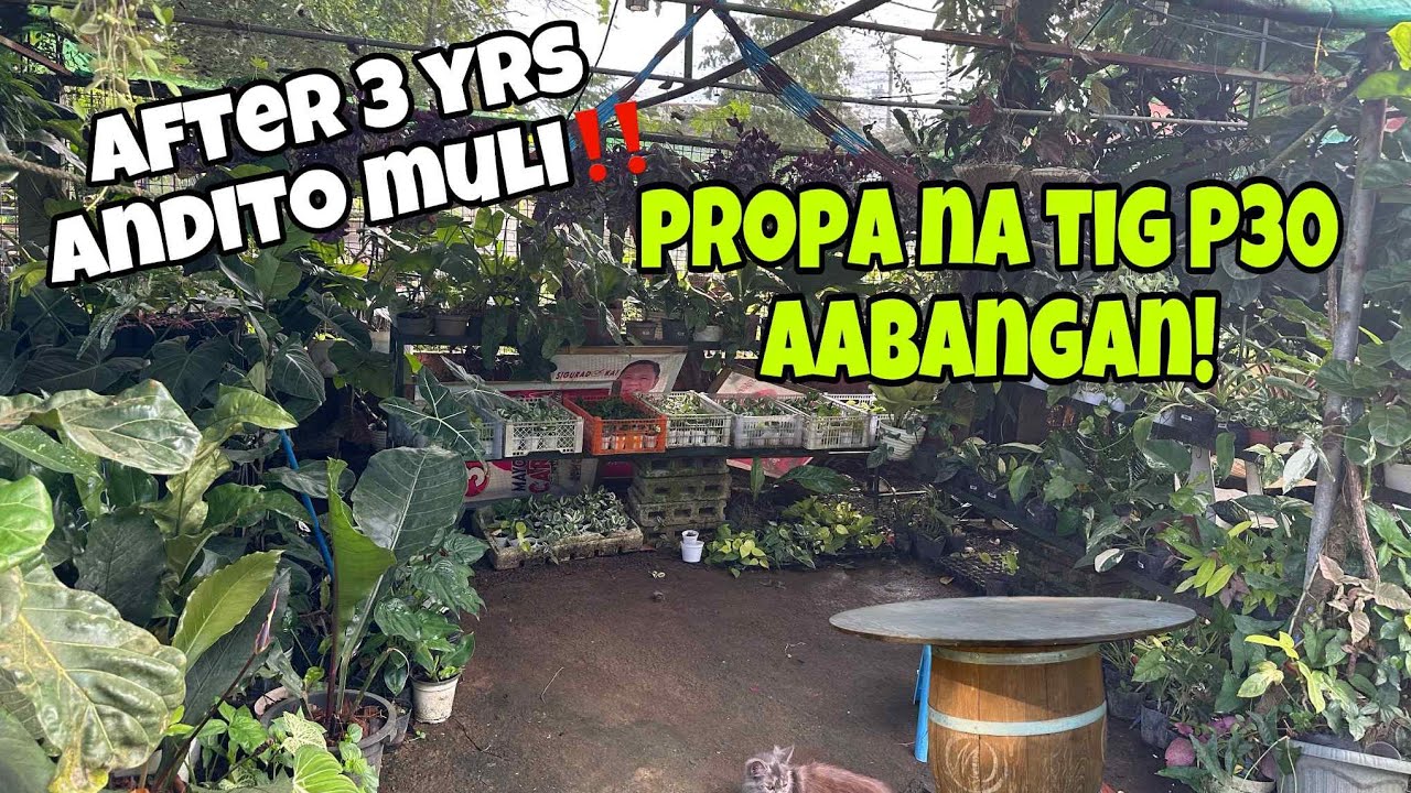  TUTOK AGAD PROPA NA TIG P30!