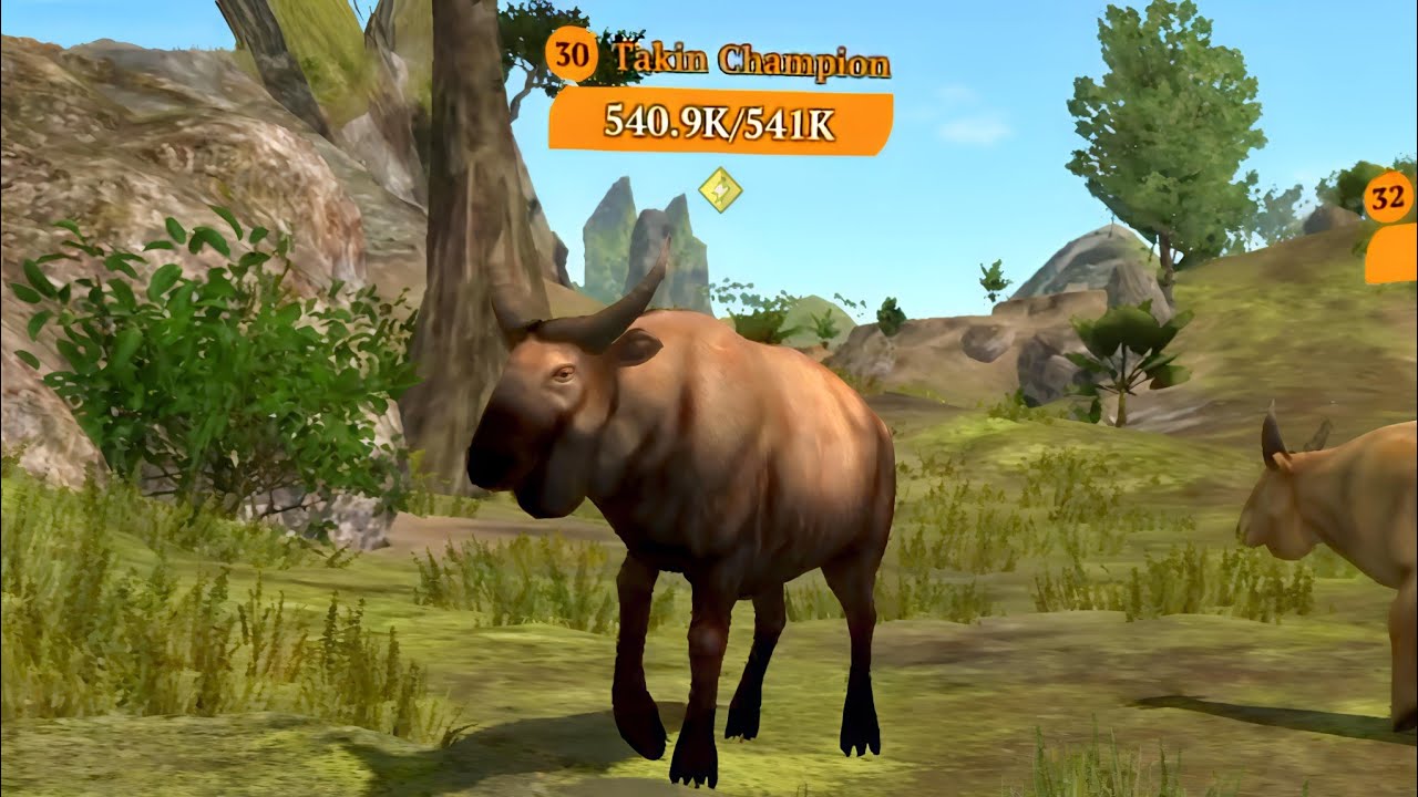 The Wolf - Takin Champion Is Like a Magnet  😂🏆