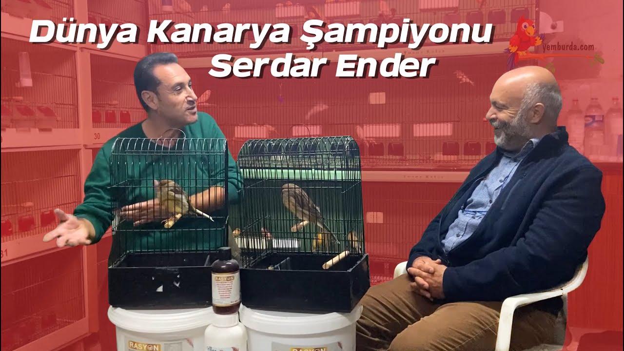 Dünya Kanarya Şampiyonu dostumuz Serdar Ender Rasyon Yem ile ilgili 3 yıllık deneyimini paylaşıyor.