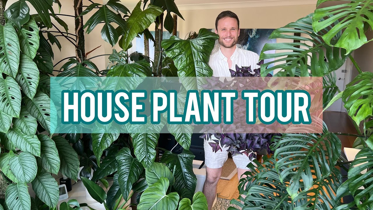 APARTMENT TOUR  - December Growth Update