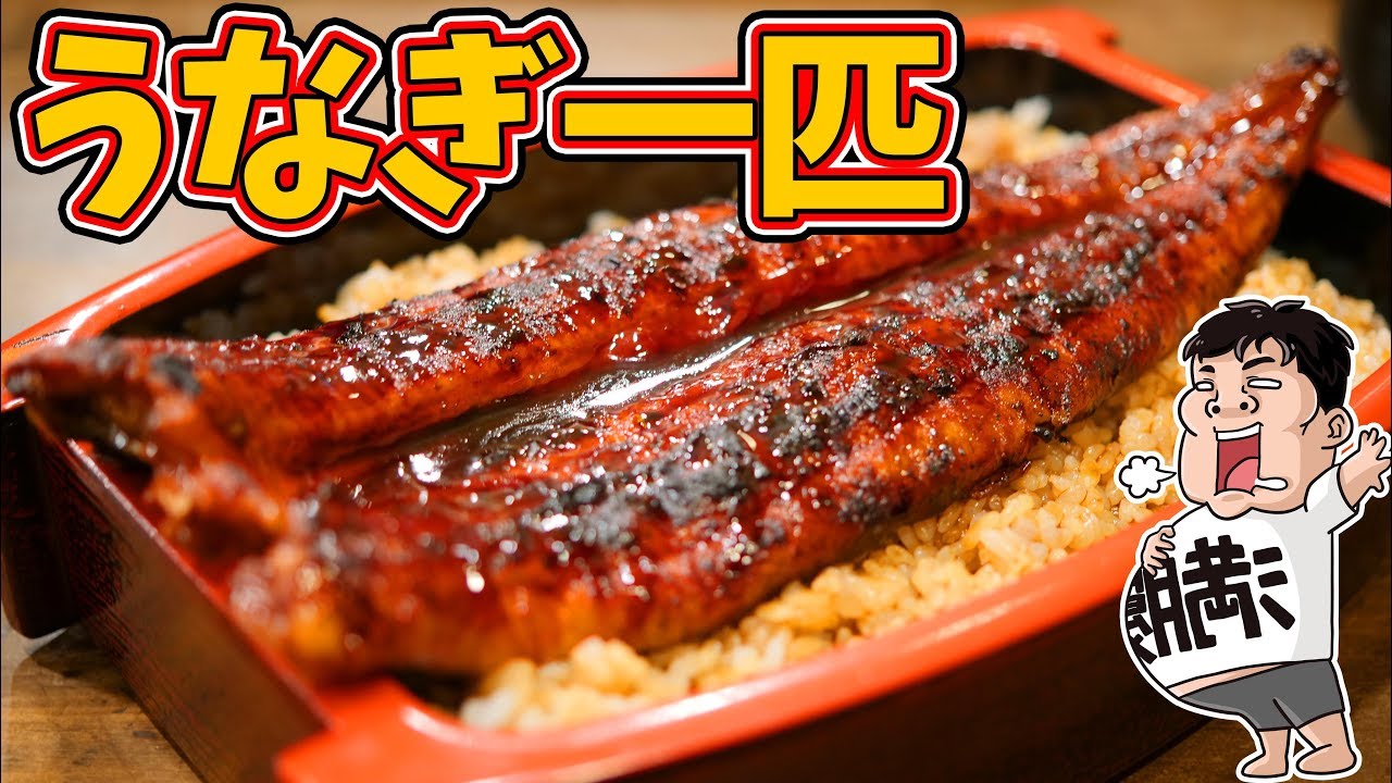 【デカ盛り】特大うな重でスタミナ満点【宇奈とと 大阪九条店】