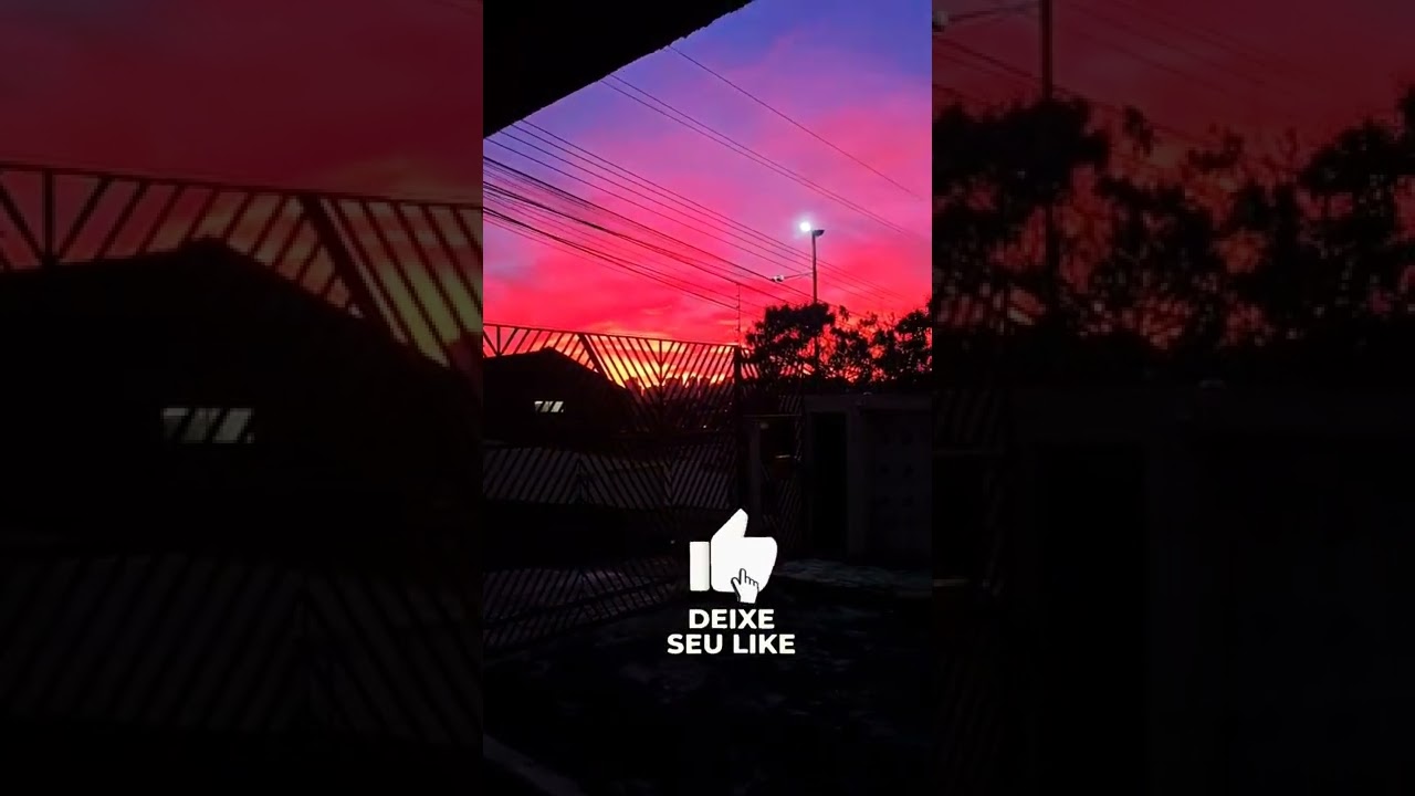 AS COISAS BOA E SIMPLES DA VIDA 