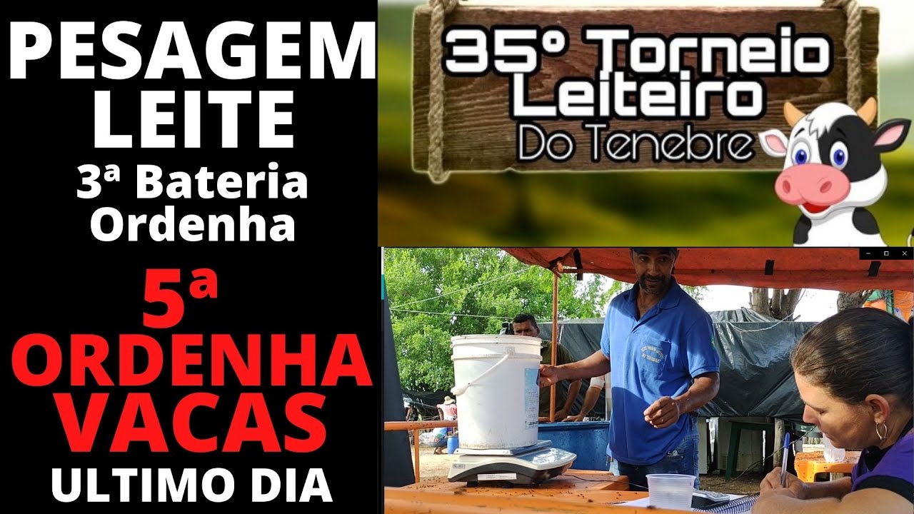 PESAGEM DO LEITE | Torneio Leireiro de TENEBRE 2022 - PEDRA PE