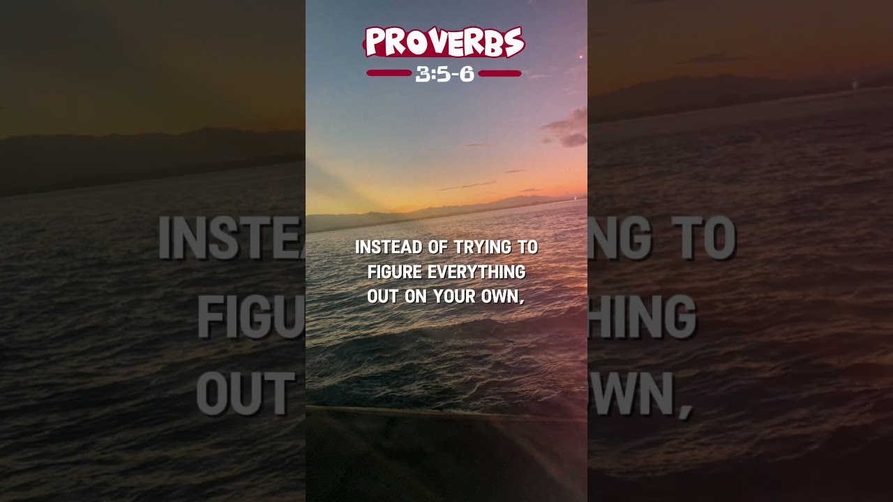 PROVERBS 3:5-6 #bibleverse #motivation