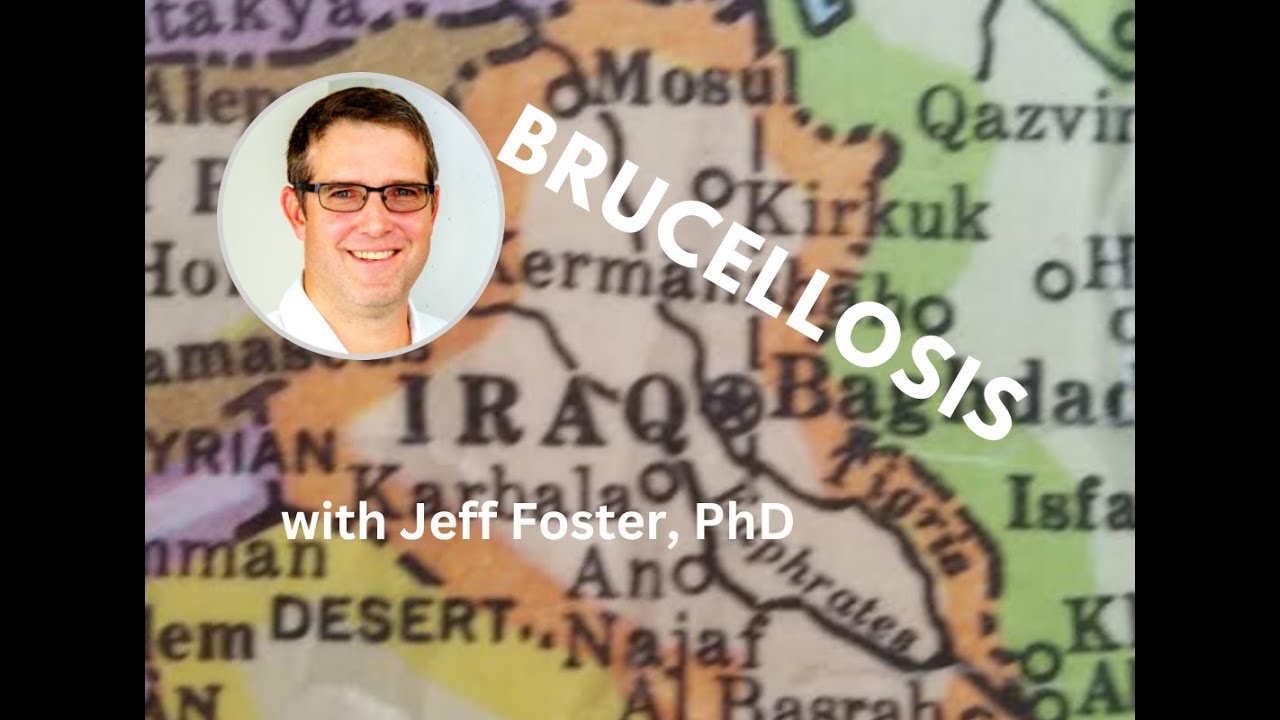 Brucellosis and some important work in Iraq