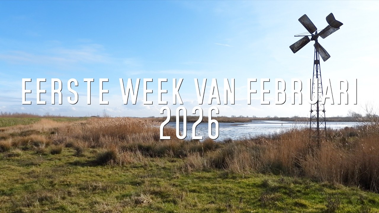 Eerste week van februari (First week of February)