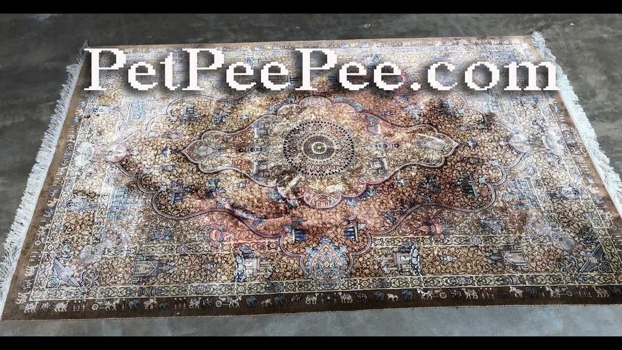 How the Silk Rugs Got Professionally Cleaned