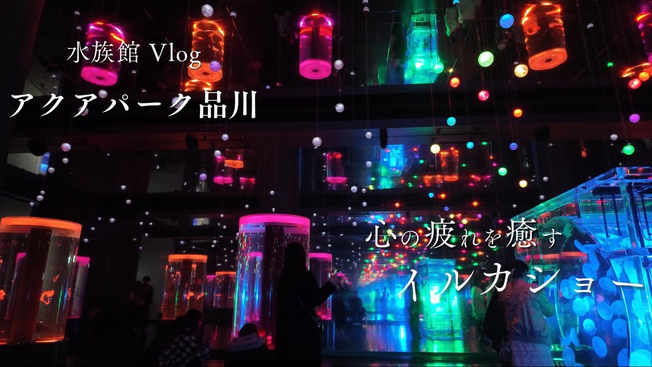 【アクアパーク品川】知らないと損する魅力だらけの水族館Vlog｜品川プリンスホテル