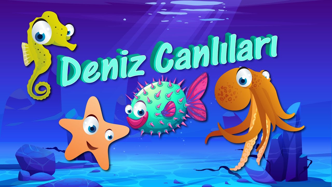 Deniz Hayvanları Tanıyalım | Deniz Canlıları Öğreniyoruz | Denizde Yaşayan Canlılar | Hayvanlar