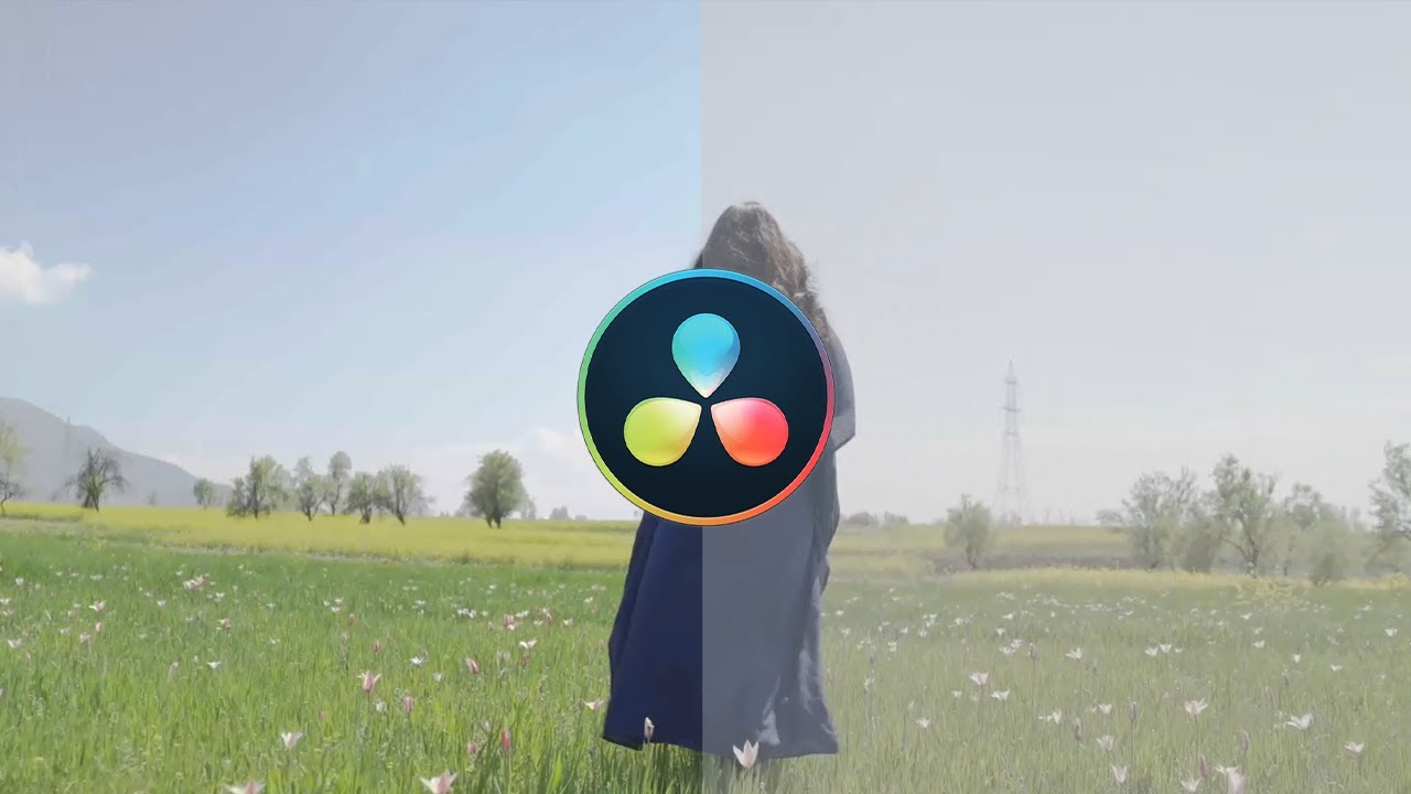 Import custom LUTs in Davinci Resolve