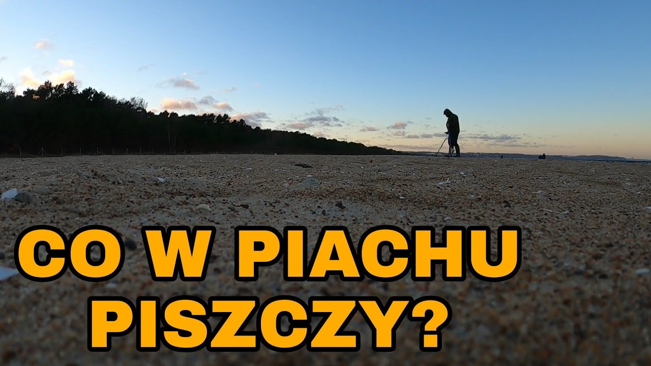 Jakie dalsze plany? Poszukiwania na plaży.