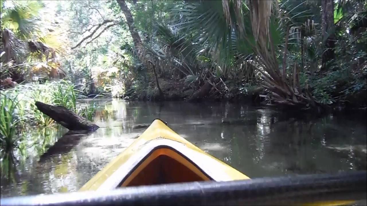 Kayaking Juniper Springs, Florida