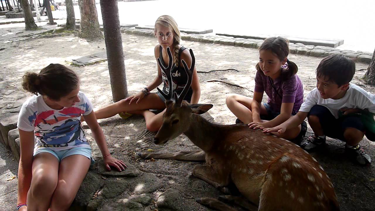 20110805 Miyajima Deer Kids