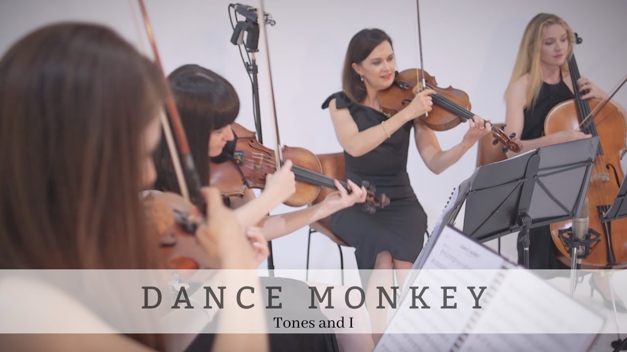 Dance Monkey | Tones and I | Bravo Music Events String Quartet