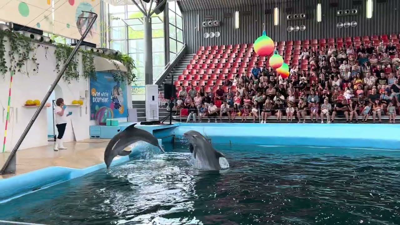 Delfinariu VARNA 2023