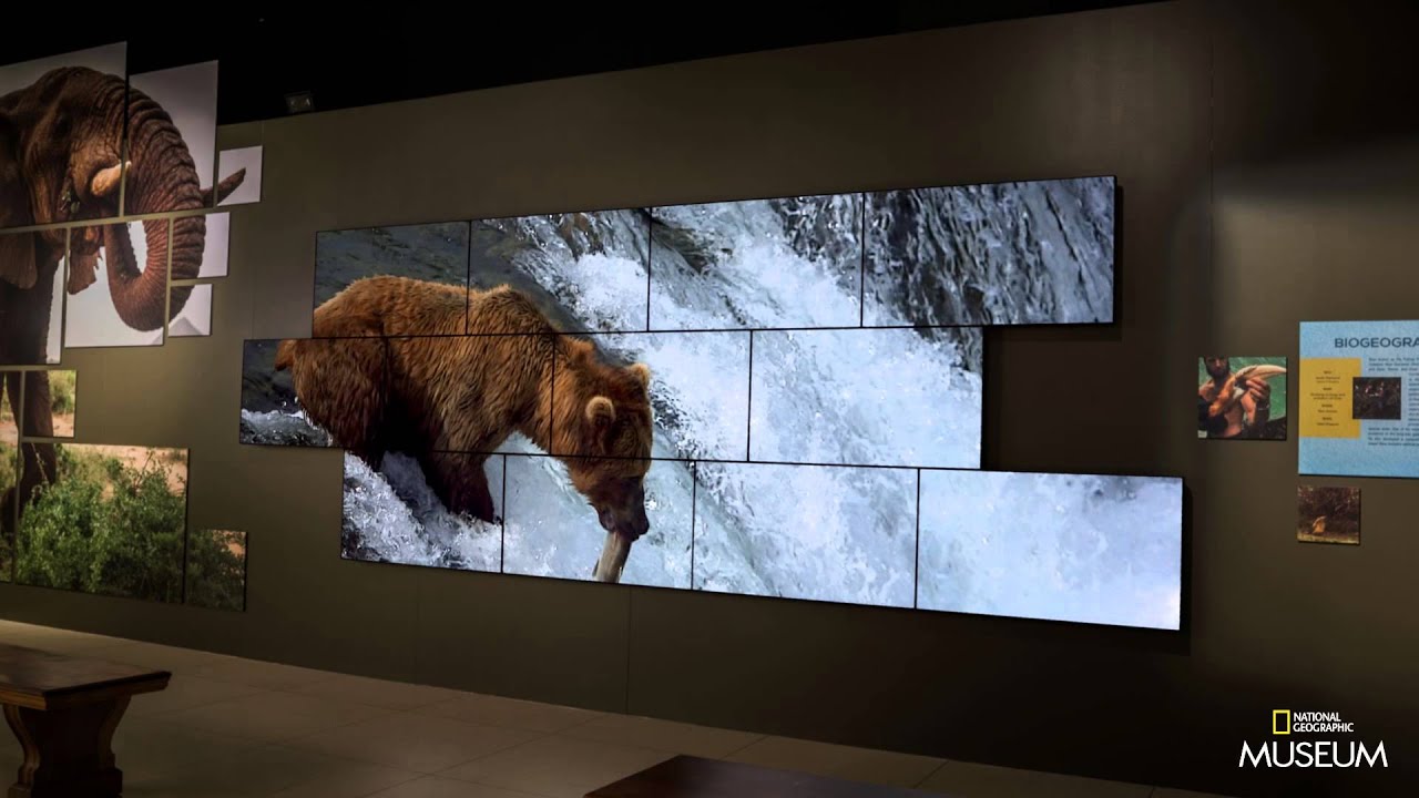 National Geographic Museum