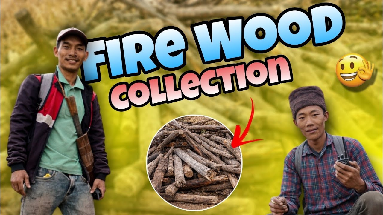 Fire Wood Collections🙏 Village lifestyle in Arunachal Pradesh India 🇮🇳