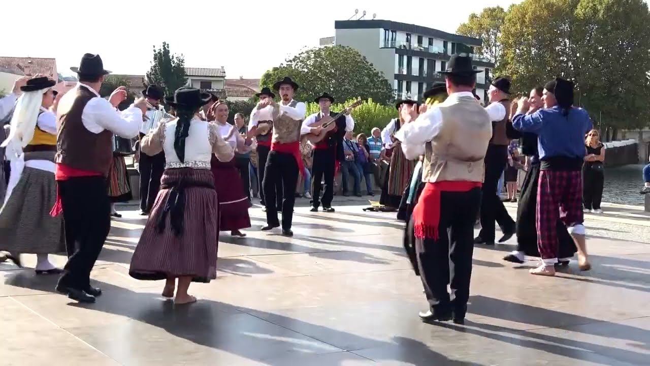 Grupo Folclórico de Crastovães em Águeda, 2025 (02)