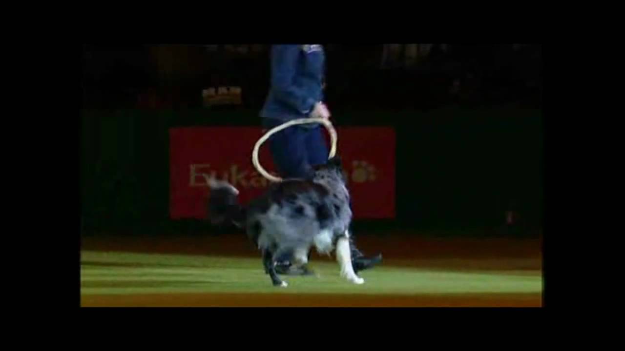 Mary Ray CRUFTS 2010