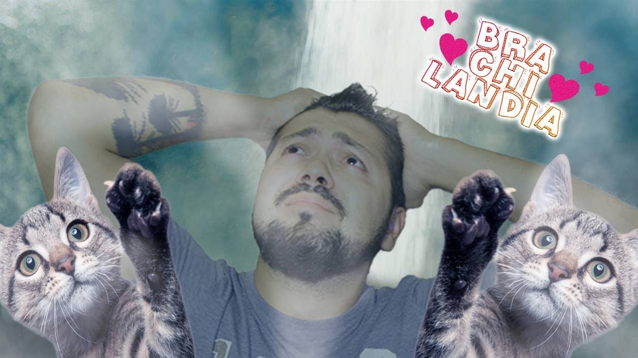 FELICES LOS 4 (PARODIA) / Feliz con los gatos - #brachilandia