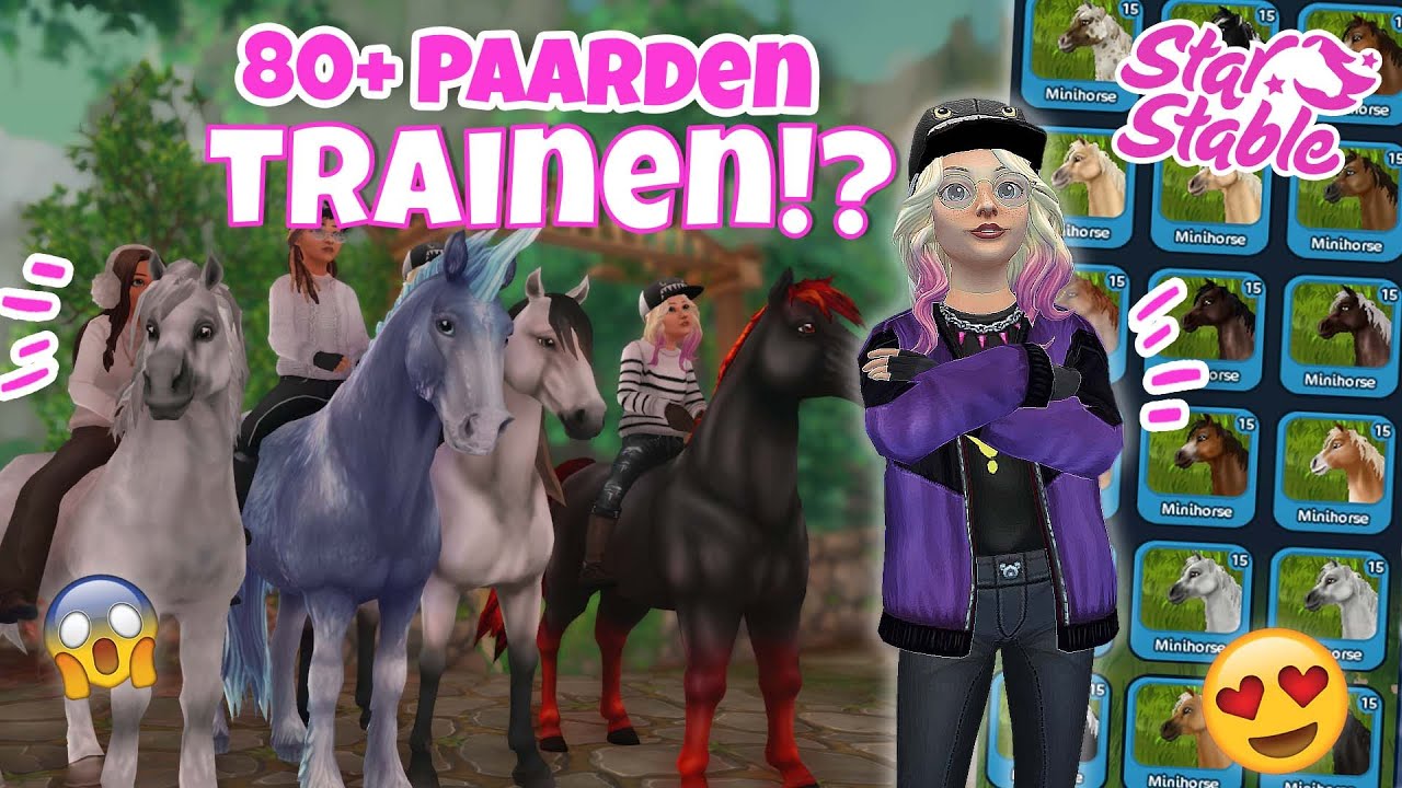 MEER DAN 80 PAARDEN IN 2 UUR UITTRAINEN?! | SSO Challenge (nl)