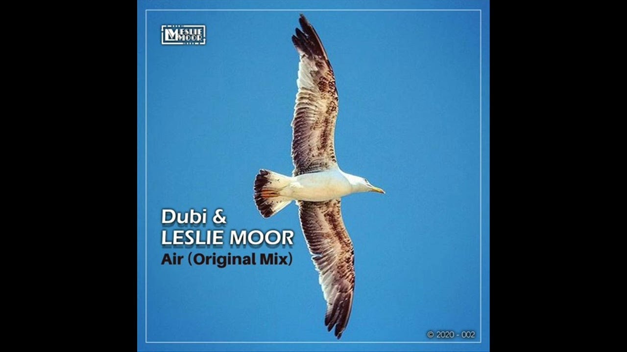 Dubi & Leslie Moor - Air (Original Mix)