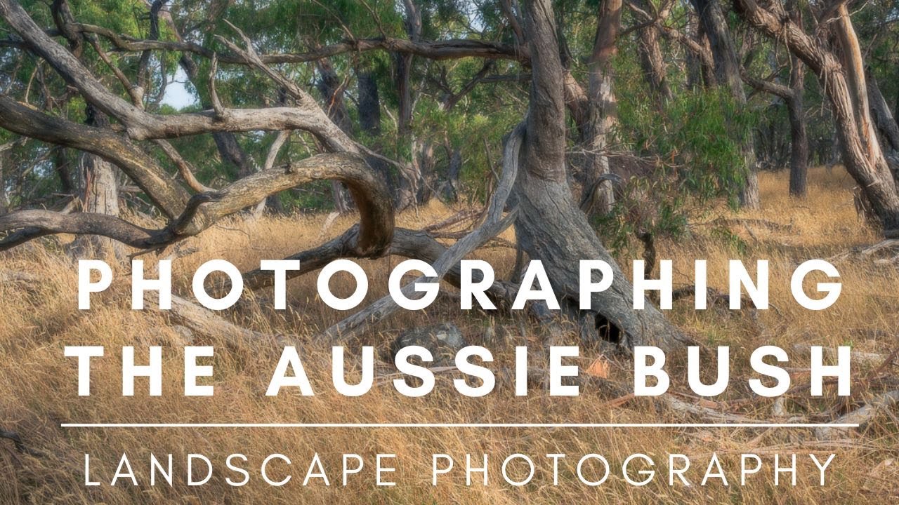 Landscape Photography | The Australian Bush.