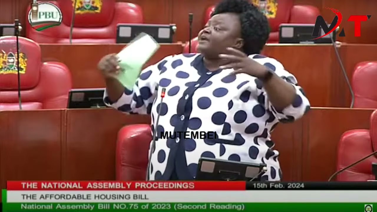 PARLLIAMENT DRIVEN TO SILENCE AS FURIOUS BENSUDA NEARLY SLAPS ICHUNGWA OVER HOUSING LEVY