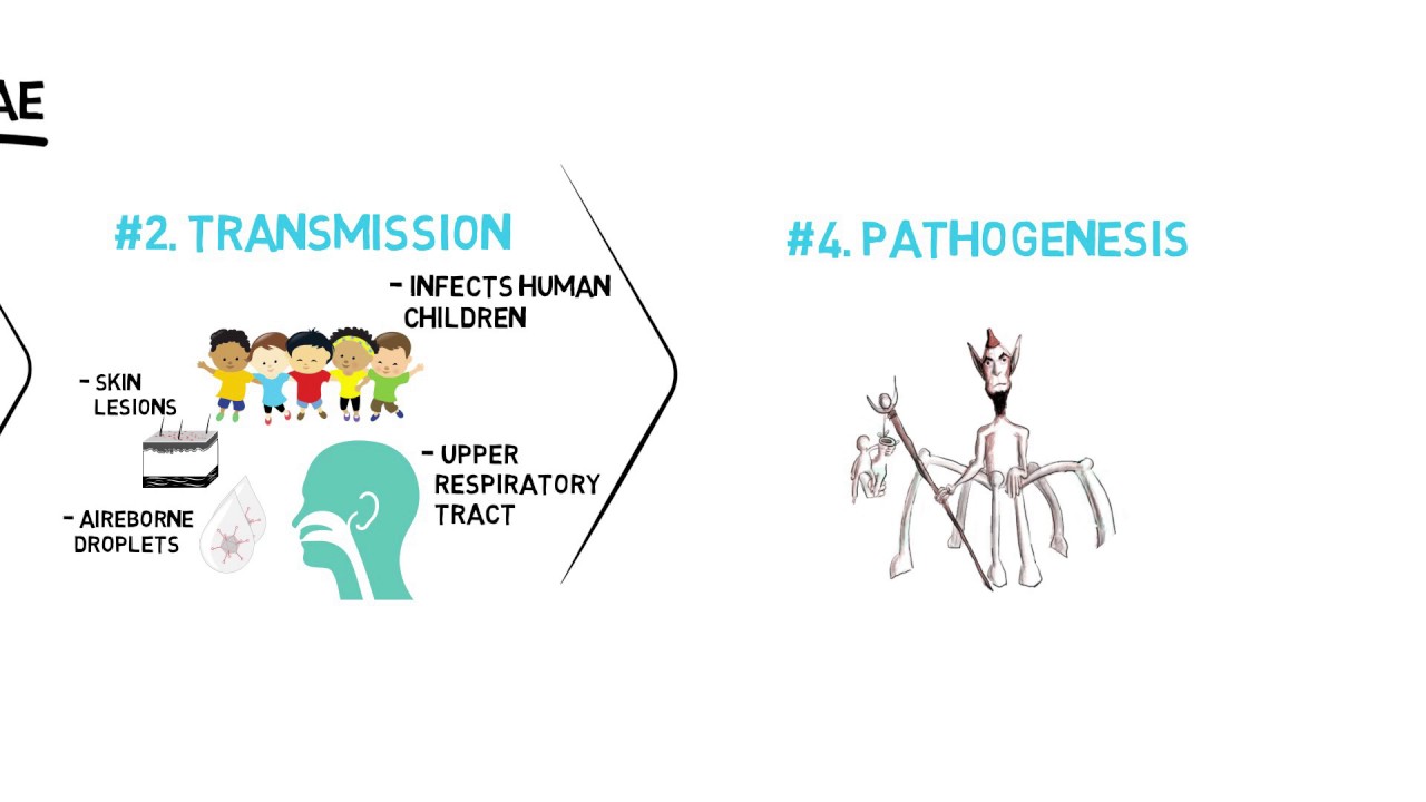 Corynebacterium Diphtheriae