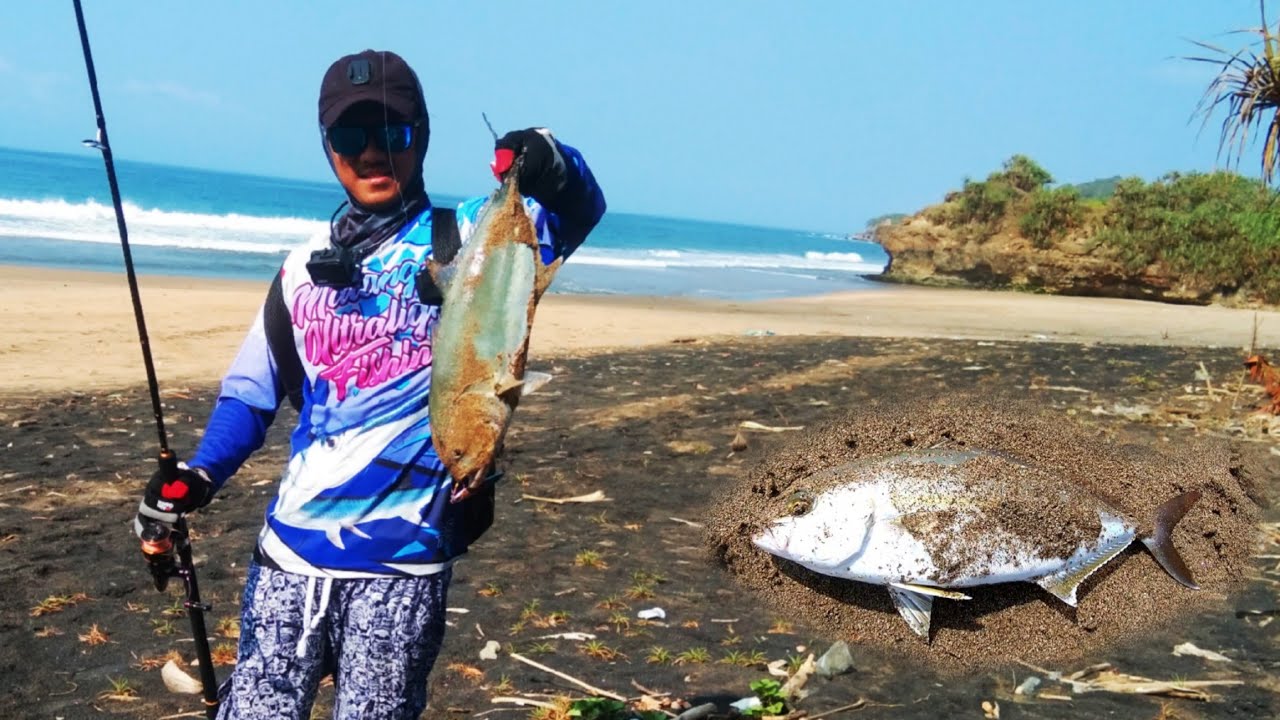 Shorejigging Strike ikan Giant Trevally dan Almaco Jack