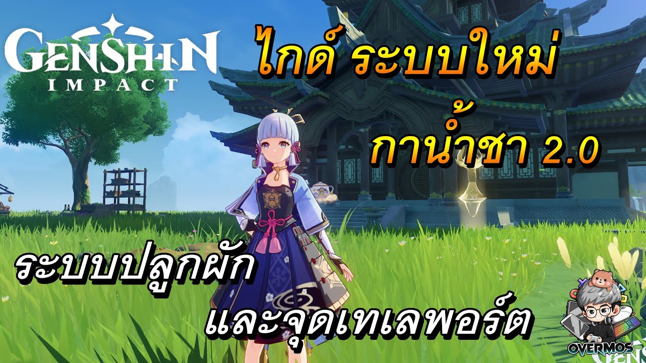 Genshin Impact | ไกค์ระบบใหม่กาน้ำชาใน 2.0 เพิ่มระบบปลูกผัก และจุดเทเลพอร์ต