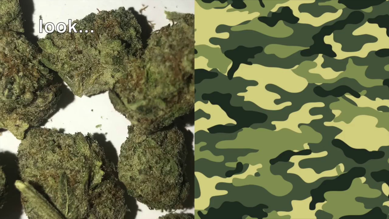 weed strain review/ 3 kings