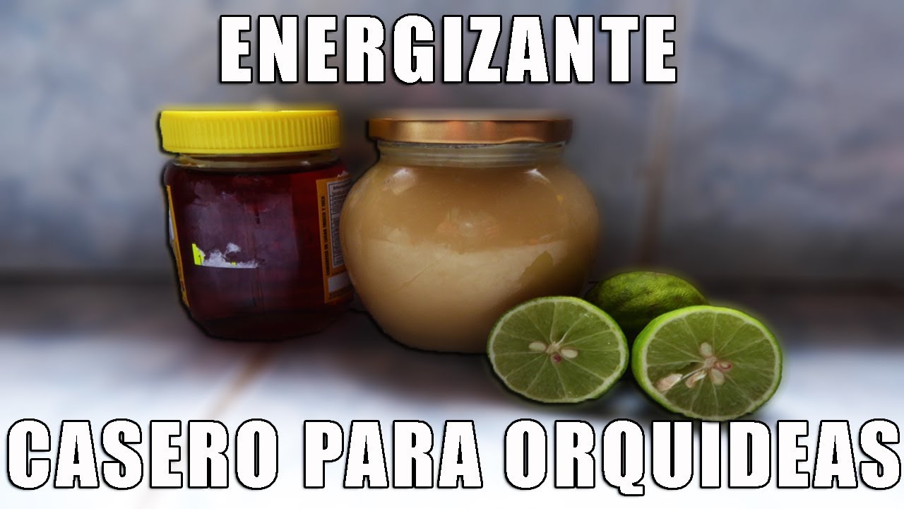 ENERGIZANTE Casero y Barato para Floración de Orquídeas Orquiplanet