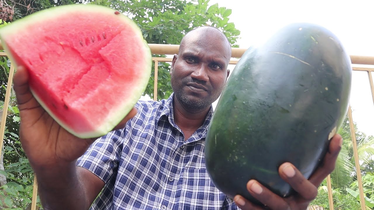 ASMR / Watermelon tapping sounds 100% sleep & relaxation sounds,
