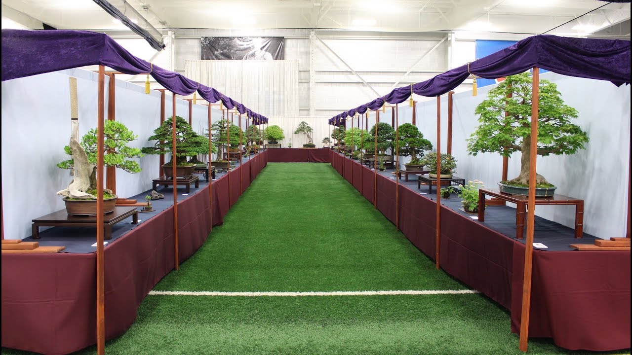 6th US National Bonsai exhibition