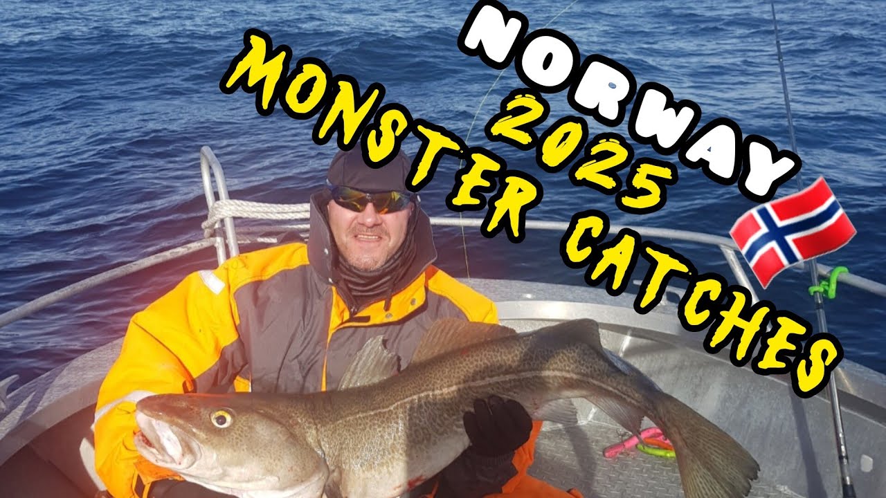 Amazing fishing in Norway  🎣🎣🎣Mefjord Brygge-Senja 2025 !!!