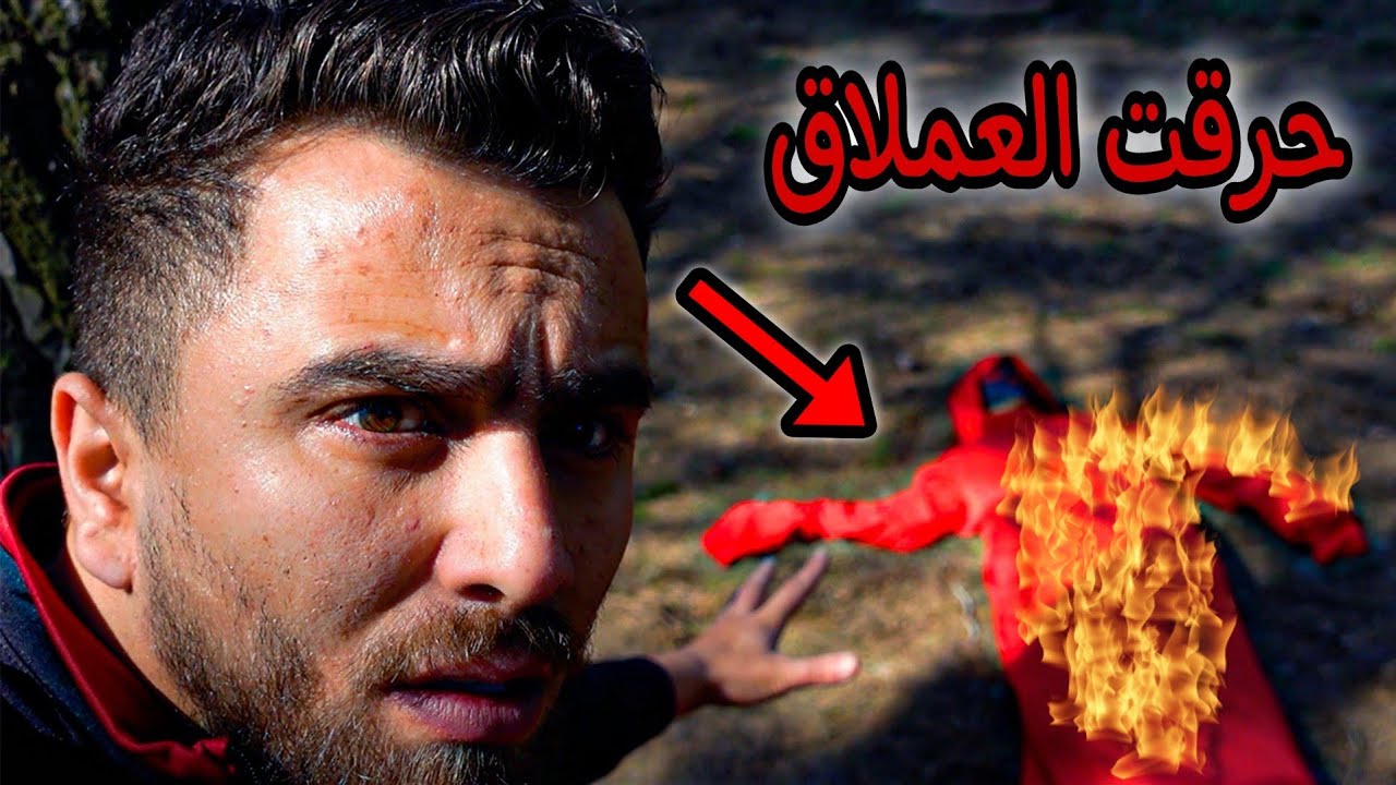 حرقت العملاق الاحمر والكلاب تأكل الساحرة
