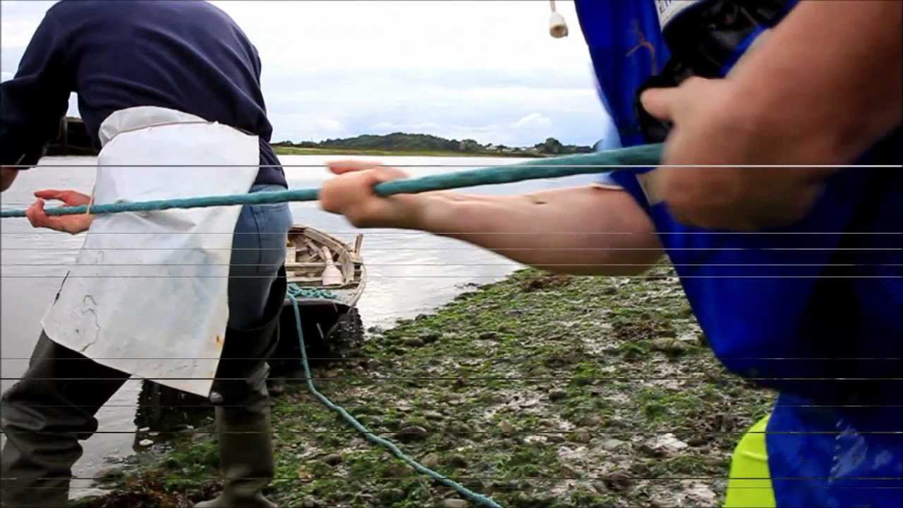 Boyne Fishermen - Salmon Tagging at Baltray Drogheda 2012