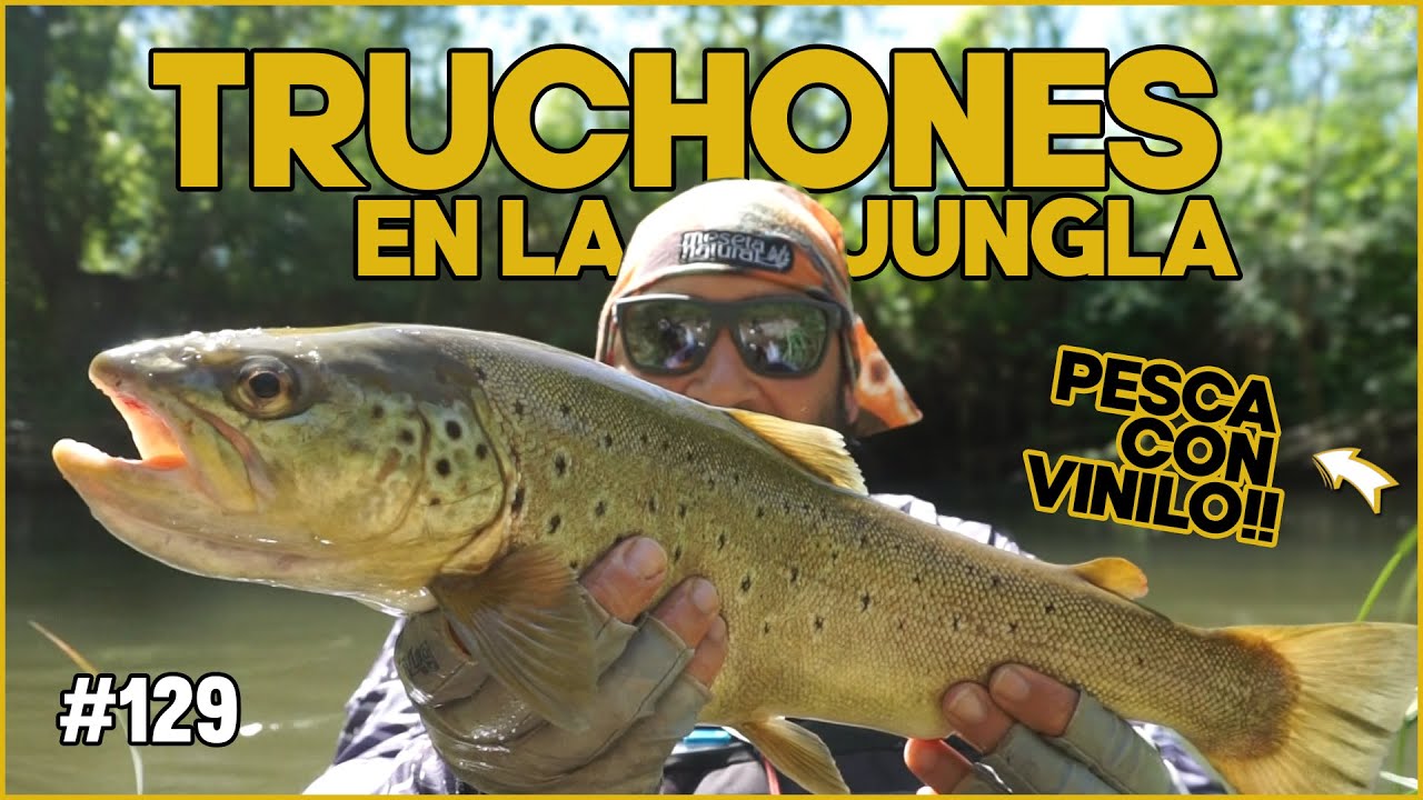 Pesca de Grandes Truchas en la Jungla de la Meseta | Pesca con vinilos | Mayo 2025