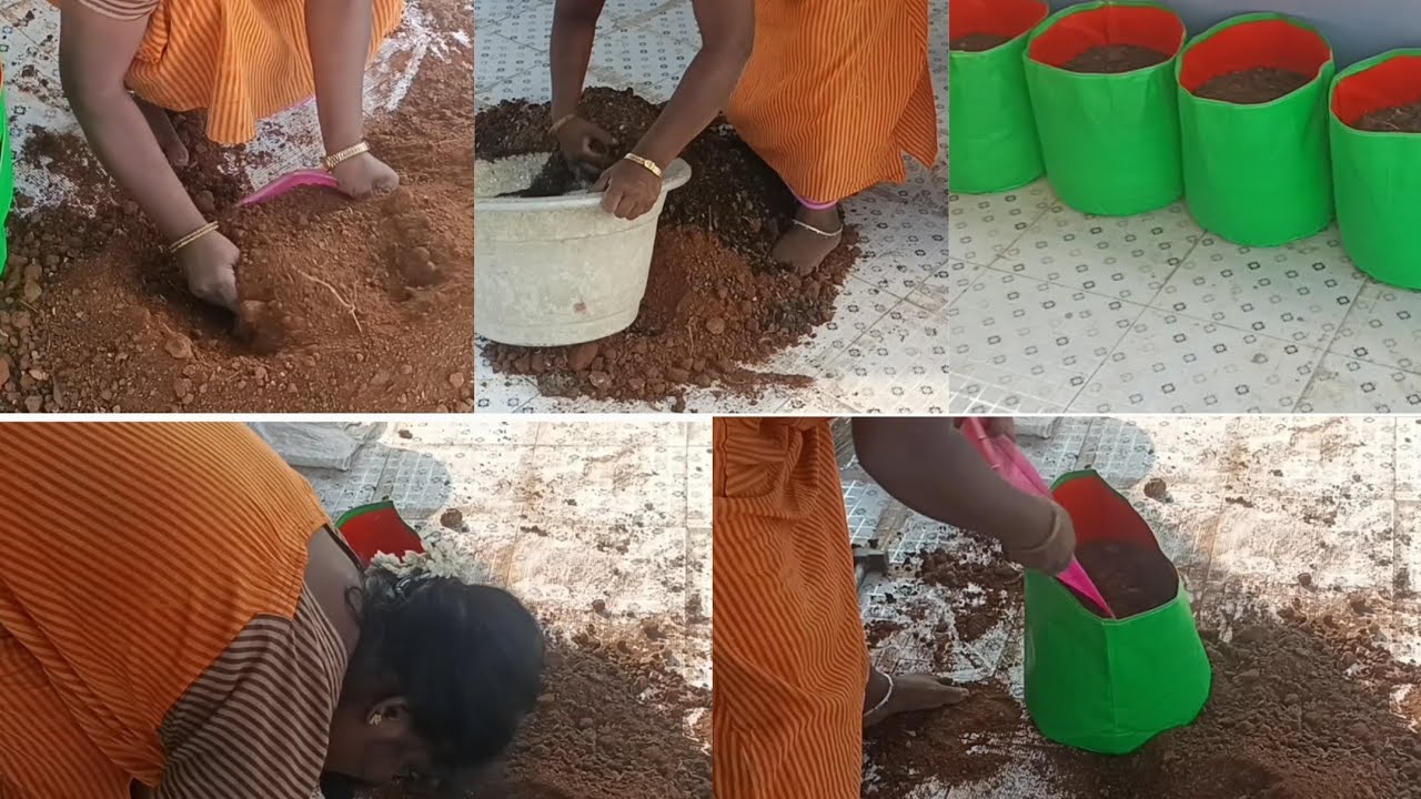 பேக் ஃபுல்லா மண்ணை நிரப்பி ஆச்சு செடி நட வேண்டியதுதான் 🥰🥰🥰